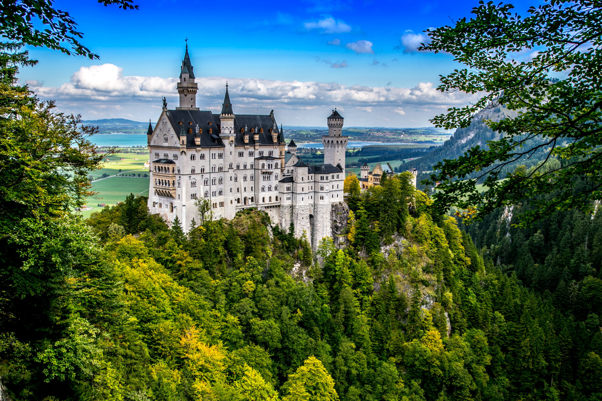 Neuschwanstein Castle - Dream and Drift